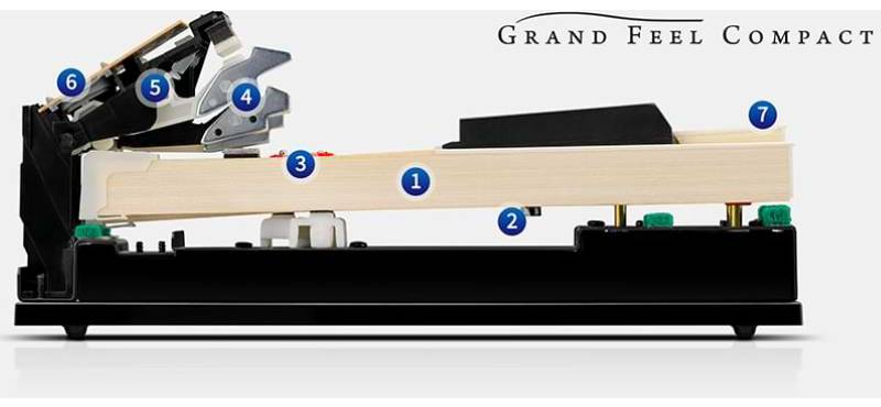 اکشن چوبی Grand Piano Grand Feel Compact