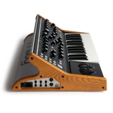 Moog Subsequent 25