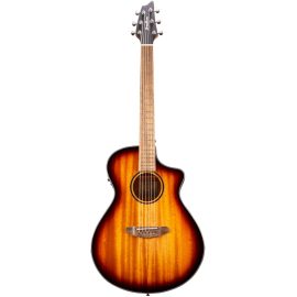 (Breedlove Discovery S Concert Edgeburst CE - African Mahogany (DSCN44CEAMAM خرید