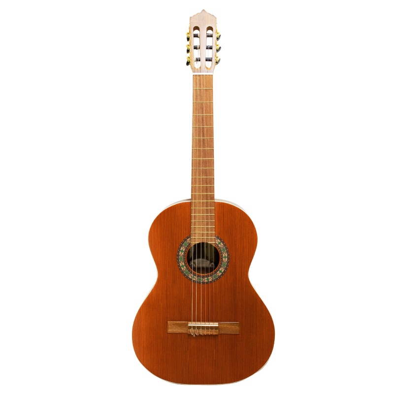 گیتار کلاسیک پارسی M6