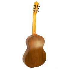 گیتار کلاسیک پارسی M6