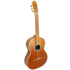 گیتار کلاسیک پارسی M6