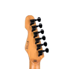 ESP LTD TE-200DX - Purple Burst