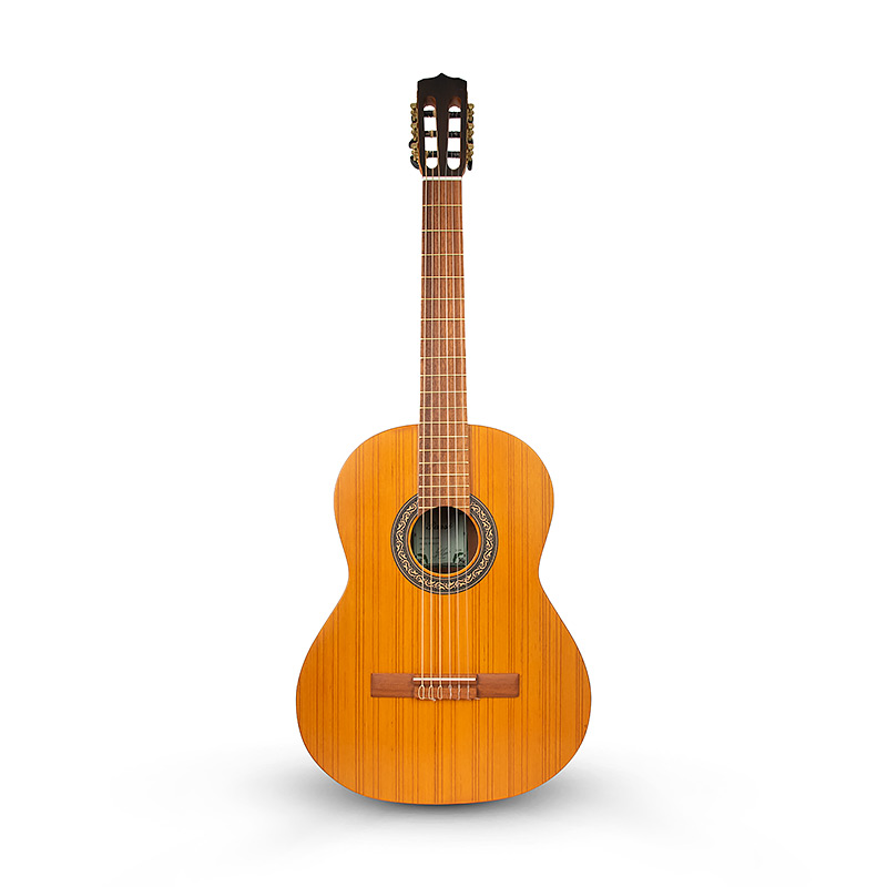 گیتار پارسی K90