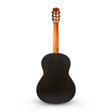 گیتار پارسی K90