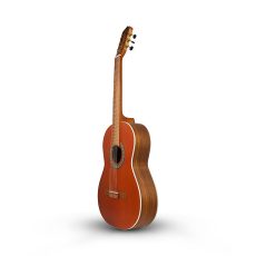 گیتار پارسی M6