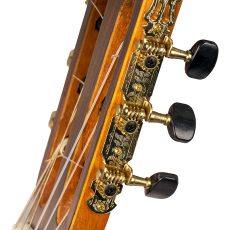 گیتار پارسی M6