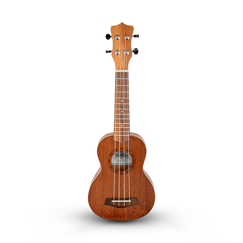 یوکللی Washborn