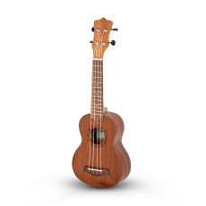 یوکللی Washborn