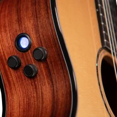 Cort Gold OC8 Nylon (With Case) - Natural