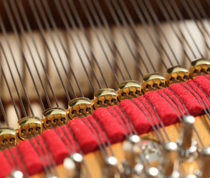 آگراف های کنسرت