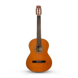 گیتار پارسی M3