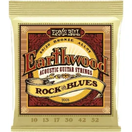 Ernie-ball-2008-1