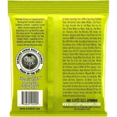 Ernie Ball Regular Slinky RPS Nickel Wound Electric Guitar Strings - 10-46 - 2240