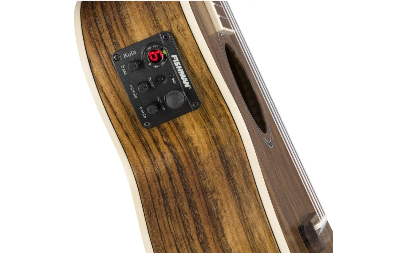 Fender Rincon سازی برای حرفه ای ها