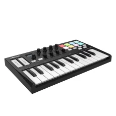 Worlde Panda Mini II