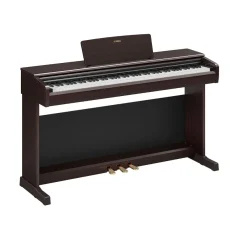 Yamaha YDP 146