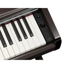 Yamaha YDP 146