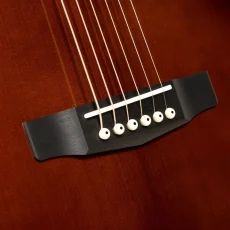 Cort ES-GA4 SPECIAL - BRSG